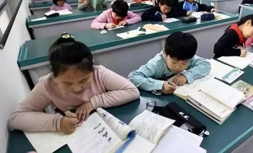 中小學課后服務全面鋪開，教育咨詢助力家長滿意度提升